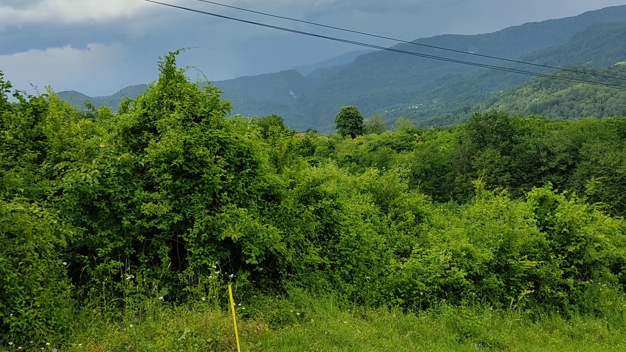 20сот. Сочи, Илларионовка. Крутой вид на горы. - YouTube