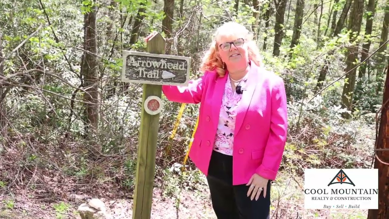 Mountain Property for sale in Fairview, NC