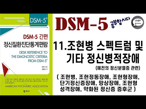 심리북튜버 | 제 11편 &rsquo;DSM-5&rsquo; 공부합시다 / 조현병 /조현정동장애/ 조현양상장애 /단기정신병적장애/망상장애 /조현형성격장애 /약화된정신병증후군