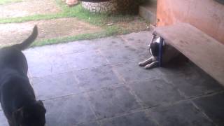 WP 20140420 10 34 39 Pro