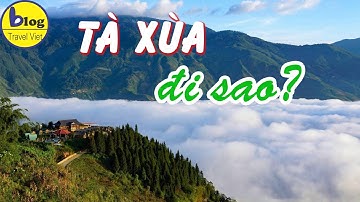 Kinh nghiệm du lịch Tà Xùa 3 ngày 2 đêm trọn vẹn