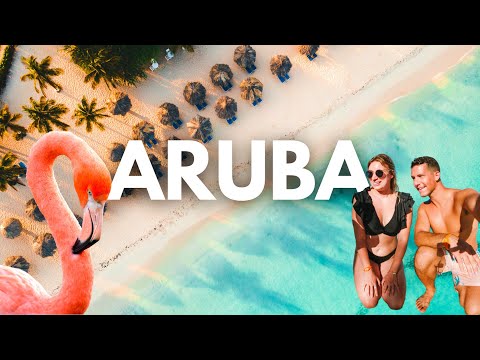 Why ARUBA is the BEST Caribbean Island to Visit!!