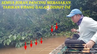 Rare!!  find a spot that is mostly inhabited by giant prawns |fishing for giant prawns in Kalimantan