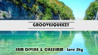 SAM DIVINE & CASSIMM - Love Shy (Extended Remix)