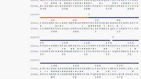 Tutorial: How to do protein structure alignment?! Search!