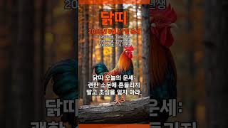 [2025년 8월 27일 닭띠 오늘의운세] 괜한 소문에 흔들리지 말고 초심을 잃지마라. #닭띠 #운세 #오늘…