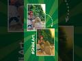 Ghibli photo kaise banaye | how to make Ghibli art image generator #ghibli