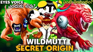 Ben 10 Wildmutt Secret Origin Explained in Telugu | Ben 10 Classic story | Ultimate Wildmutt powers