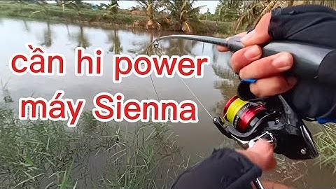 Câu Cá Lóc Bằng Cần Hipower Máy Đứng Sienna Chuẩn Hãng Đồ Câu Đại Ngáo