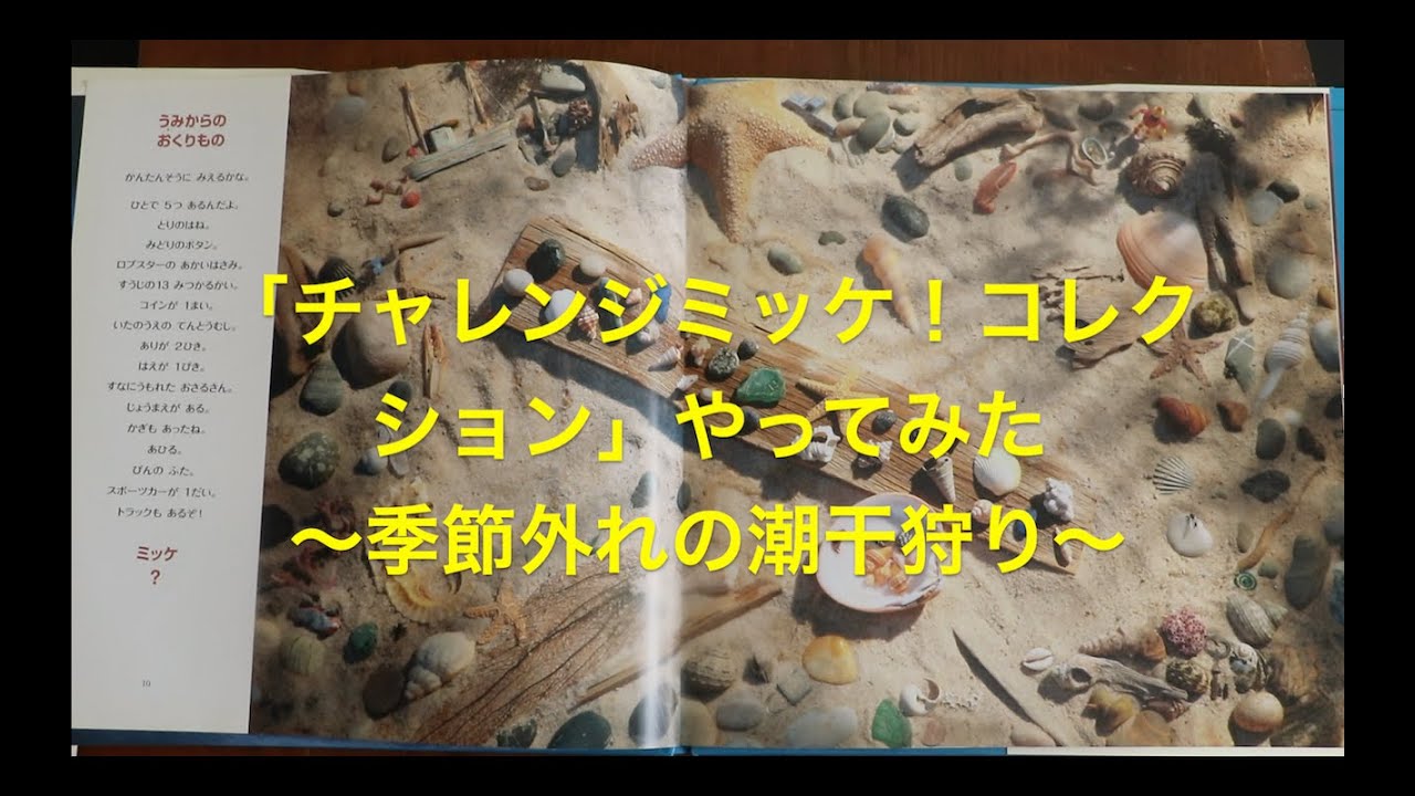 みっけ チャレンジミッケの秋（コレクション編）〜ボタンの海・古代からの訪問