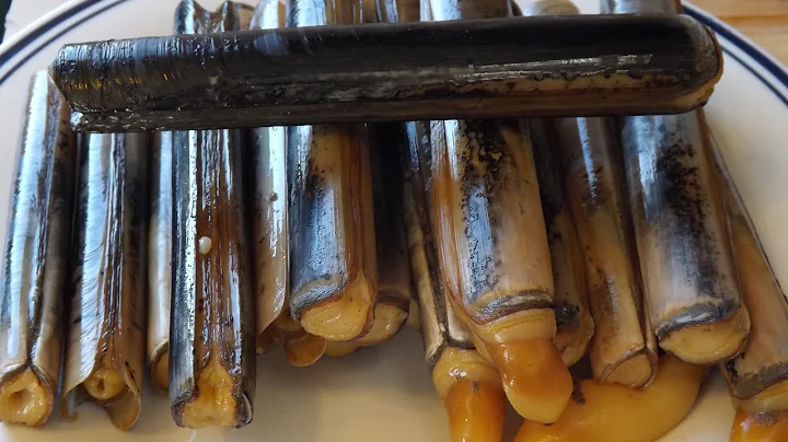 How To Catch And Cook Razor Clams.Seashore To Plate. - DayDayNews