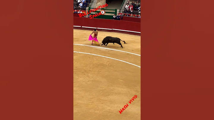 Bullfighting  #Spain #bullfightathometown #travel  #travelvlog #vlog #valencia #animals #shorts