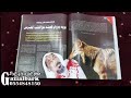 16 قصة عويد الرشيدي مع الذيب من اروع القصص
