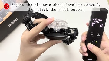 How do I test whether a Delupet receiver shock works