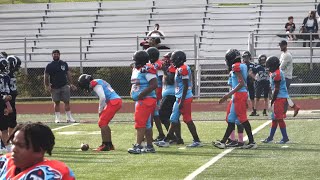 Akron titans 12u 2k24