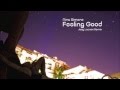  nina simone  feeling good joey lacroix remix ambient