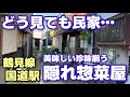 [横浜鶴見グルメ]スーパーでは絶対買えない美味しい珍味が揃う隠れ総菜屋 生麦 江川屋