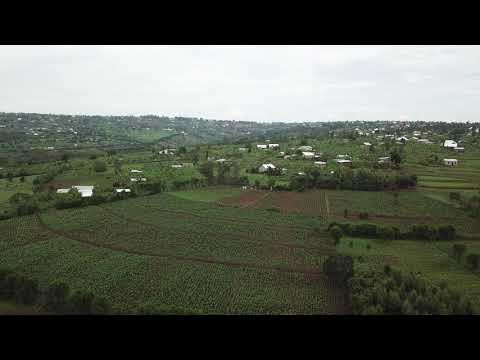 Coopérative agricole à Rwamagana