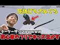 初心者のフリ中に来たキッズをボコしてみたwwwww【ロブロックス/Roblox】