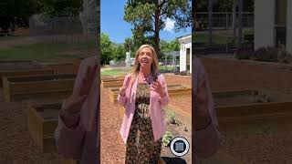 Launch Pad Learning Garden - Where Dreams Take Flight