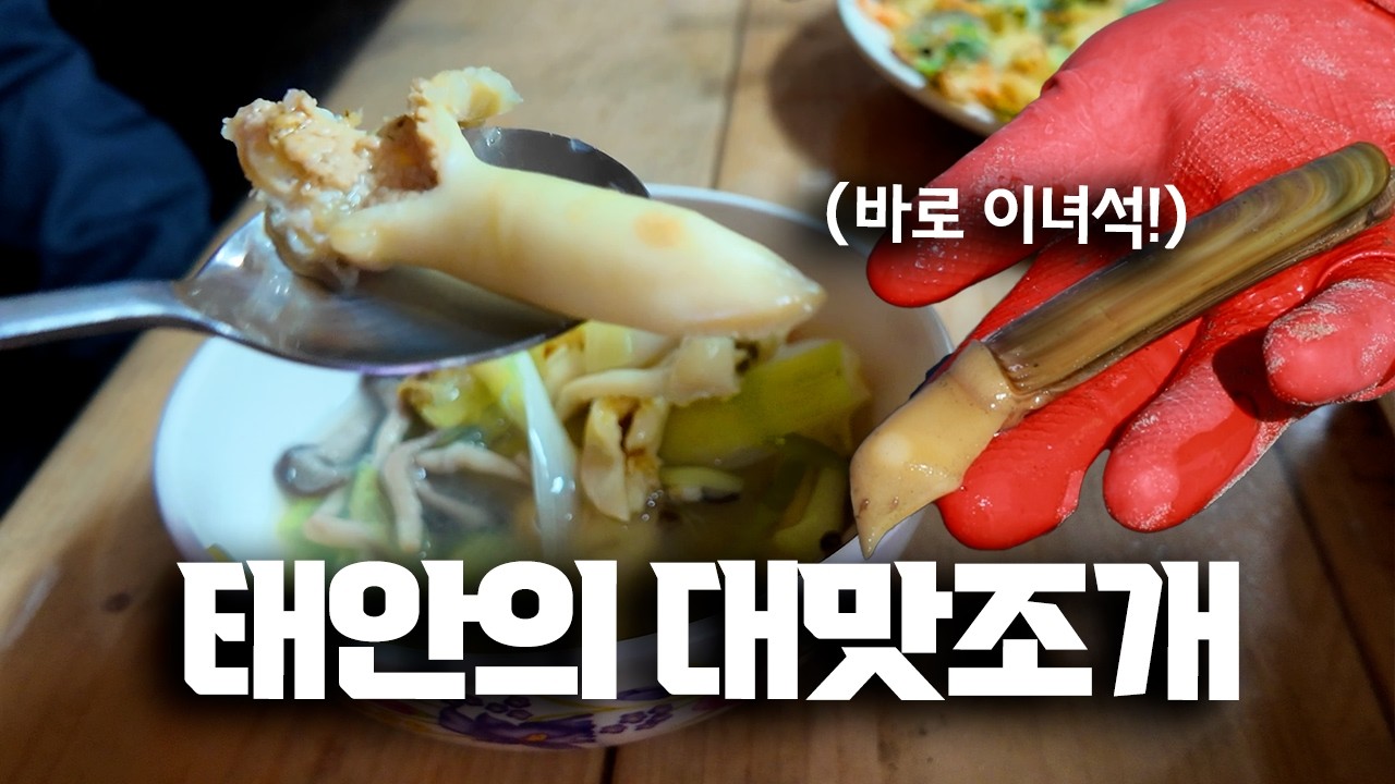 태안에서 직접 잡은 대맛조개를 먹어봤습니다