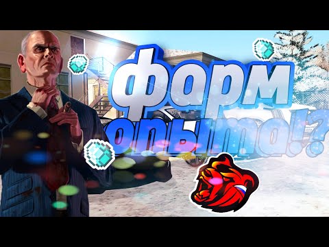 Как очень быстро поднять уровень в black russia crmp mobilr