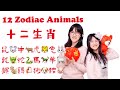 12 zodiac animals in chinesemandarin learning for childrenchinese lesson for kids