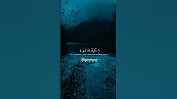 (سبح اسم ربك الأعلي)❤️ القارئ عبد الرحمن مسعد | سورة الأعلى 📿 #قرآن #عبدالرحمن_مسعد