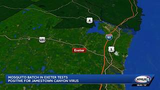 Jamestown Canyon virus detected in Exeter