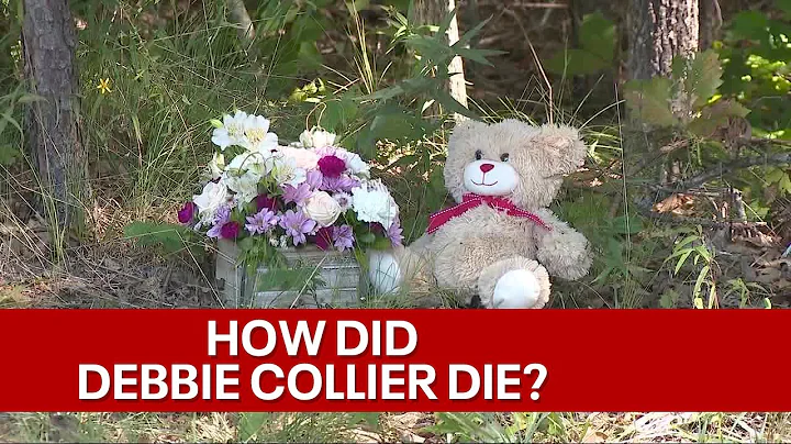 Debbie Collier death: Investigators execute search...