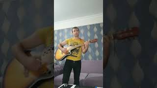 Oğuz Ilerde - Sen Hiç Mi Bahar Görmedin