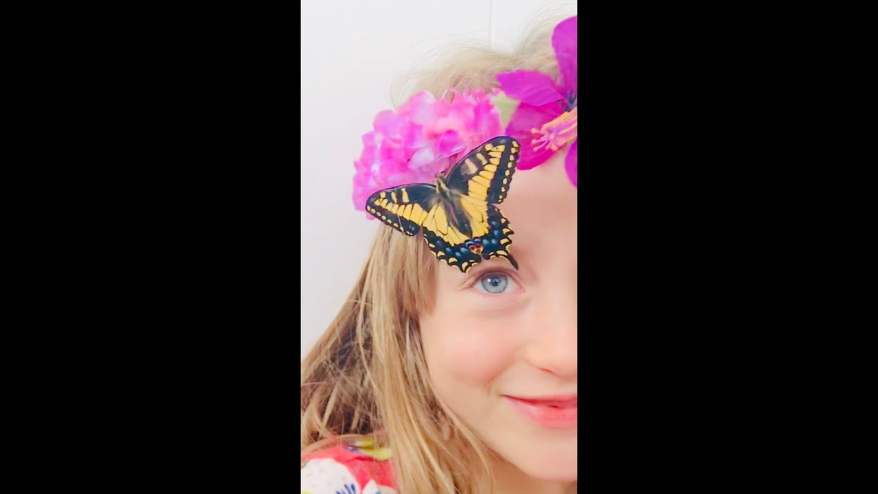 Butterfly Tickle YouTube