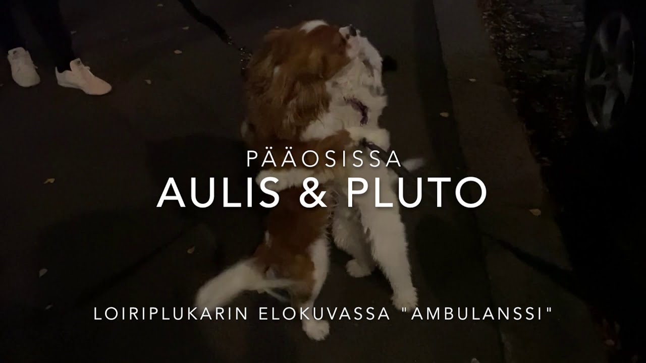 Loiriplukari: Ambulanssi (Official video)