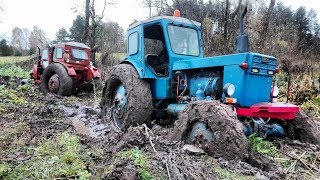 2x T-40 stuck in mud / MTZ helps / Mega Wtopa / Extreme conditions