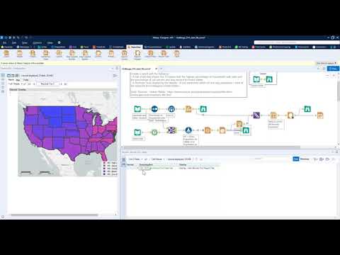 Alteryx Weekly Challenge 244: Reporting on Cats and Dogs