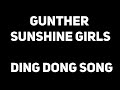 Gunther - Ding Dong Song | 1 HOUR Mp3 Song