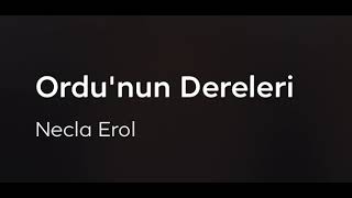 THM - Ordu’nun Dereleri (Necla EROL)