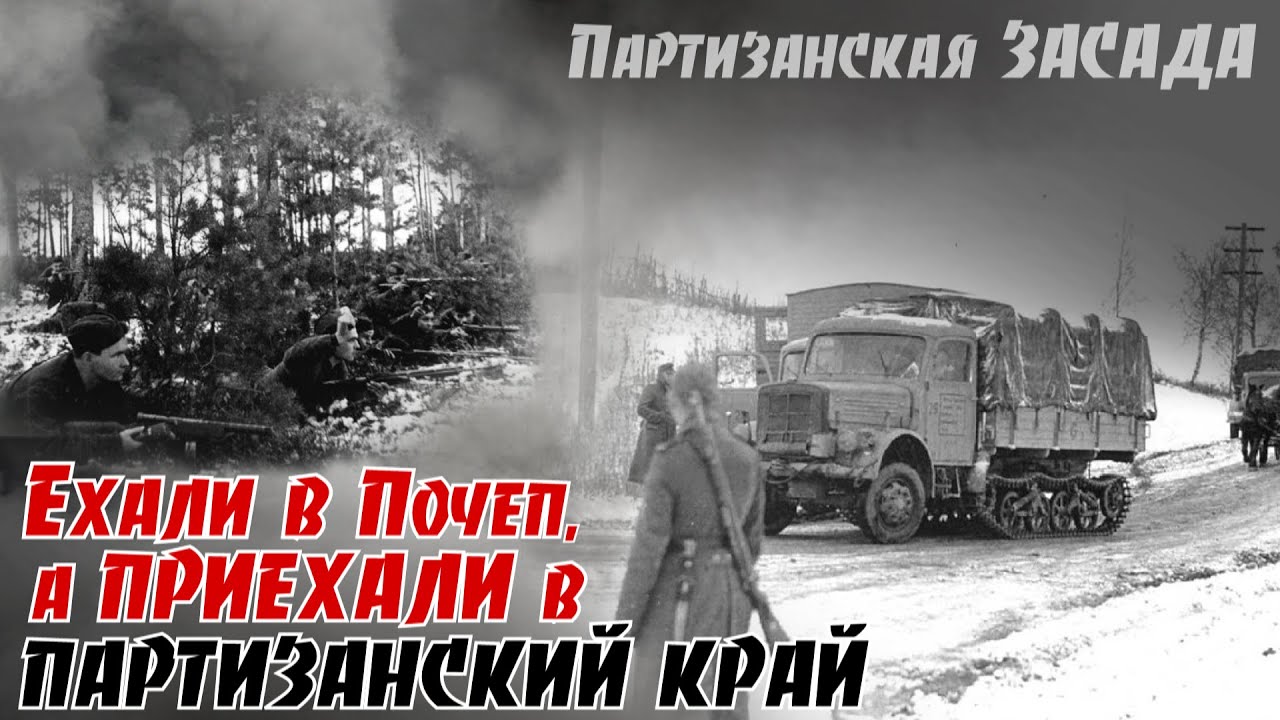 И машины туда сюда