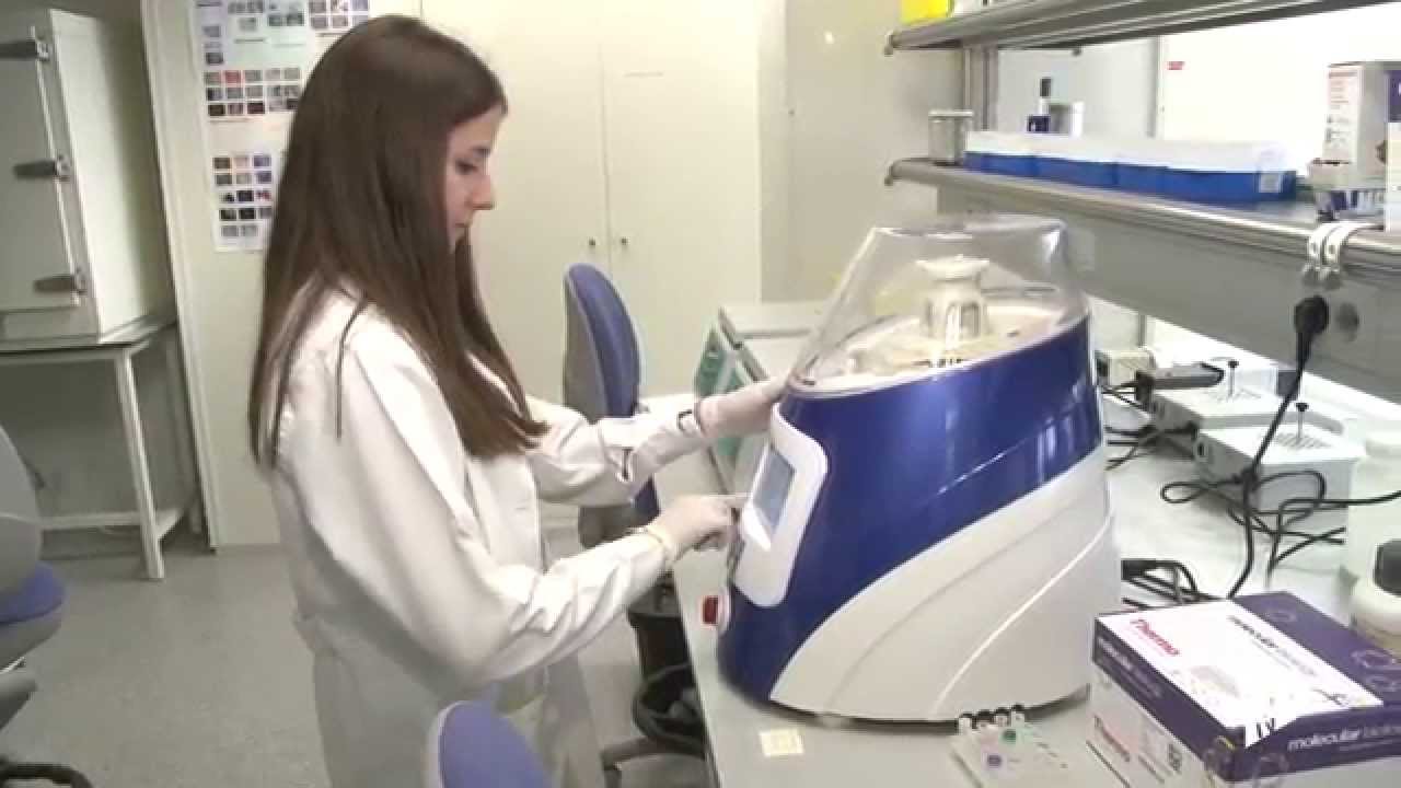 Noticias @UPVTV: Detección Helicobacter Pylori  [17-06-2015]