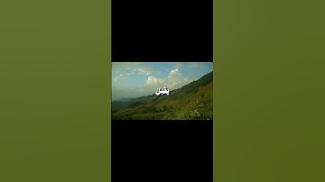 ايات من سورة التوبة بصوت الشيخ محمد صديق المنشاوي | تلاوة خاشعة وهادئه