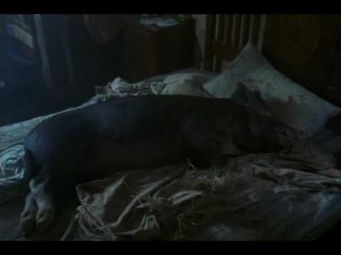 Squealer is King Pt 2