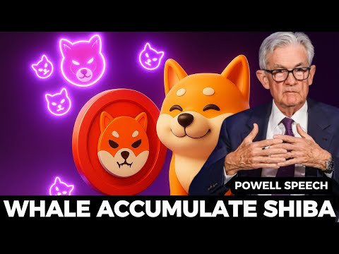 POWELL SPEECH BAGAIMANA NASIB SHIBA INU 