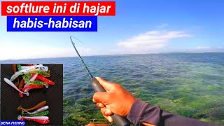 Test the soft lure color and see the results || fishing with Carolina lures at Sanur beach screenshot 5