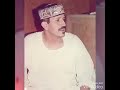 الامام محمد ابوالفتوح العربي