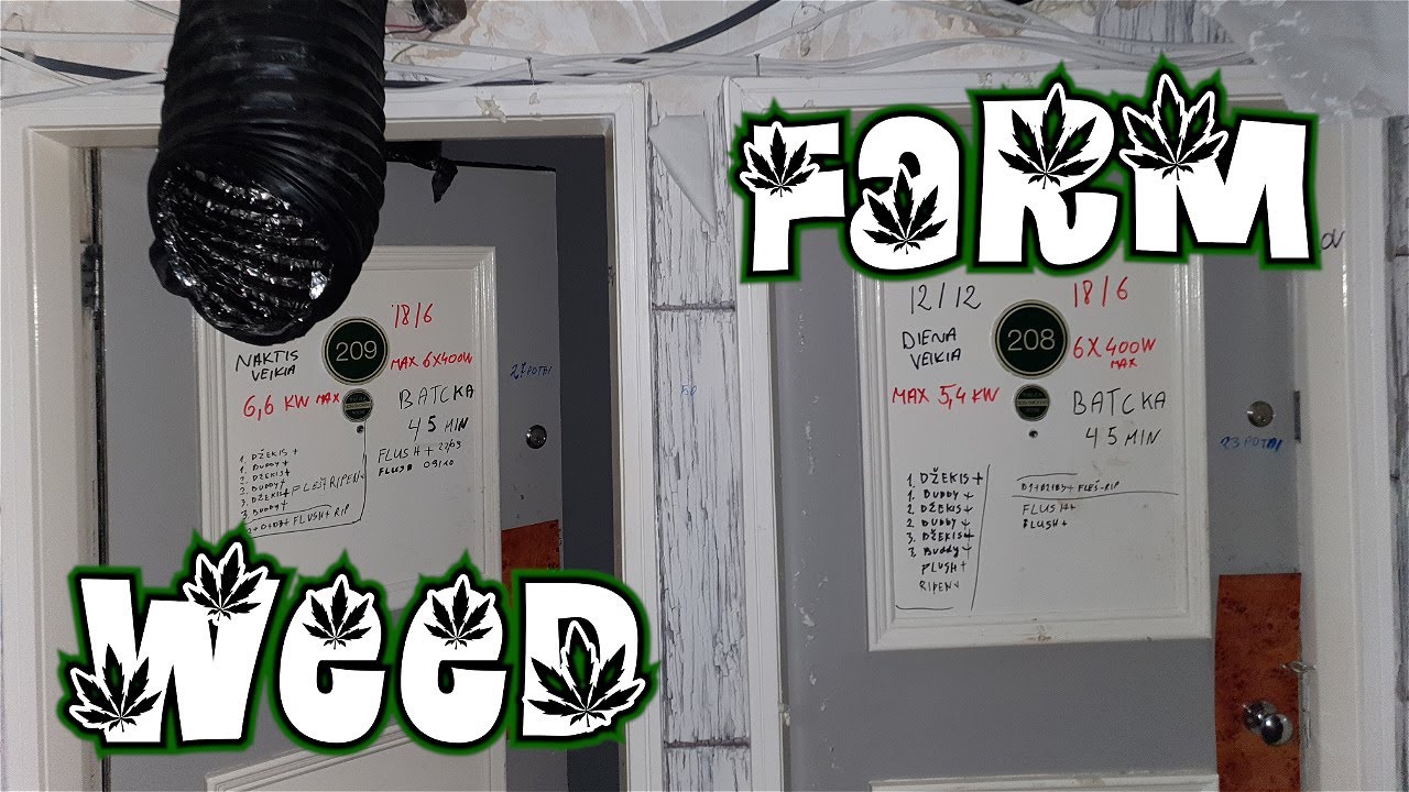 Cannabis Farm Found in UK Hotel - Abandoned Urbex Scotland