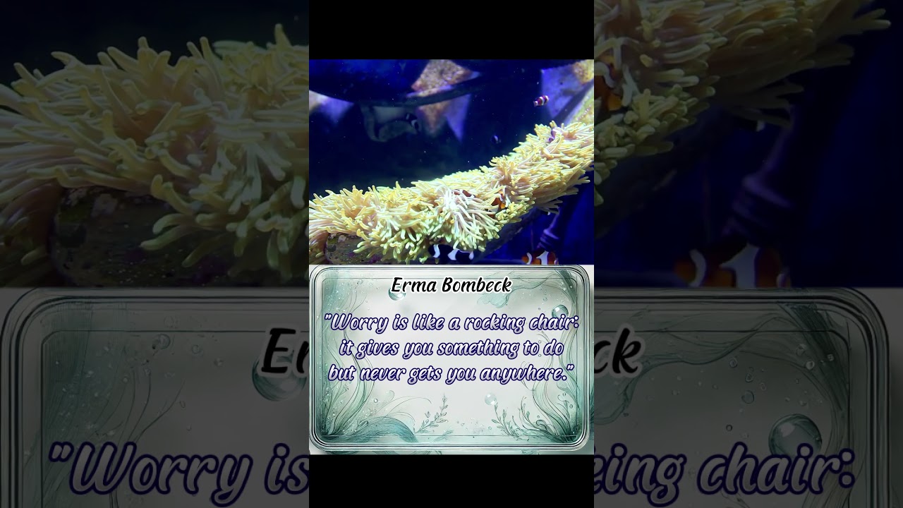 Quotes for stress relief no.1 ; Peace of mind 