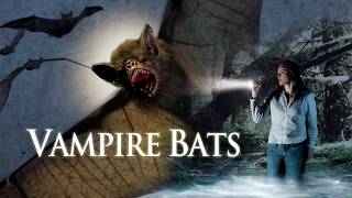 Zeit zur Fütterung! - Vampire Bats (2005) | Ganzer Horror Film auf Deutsch