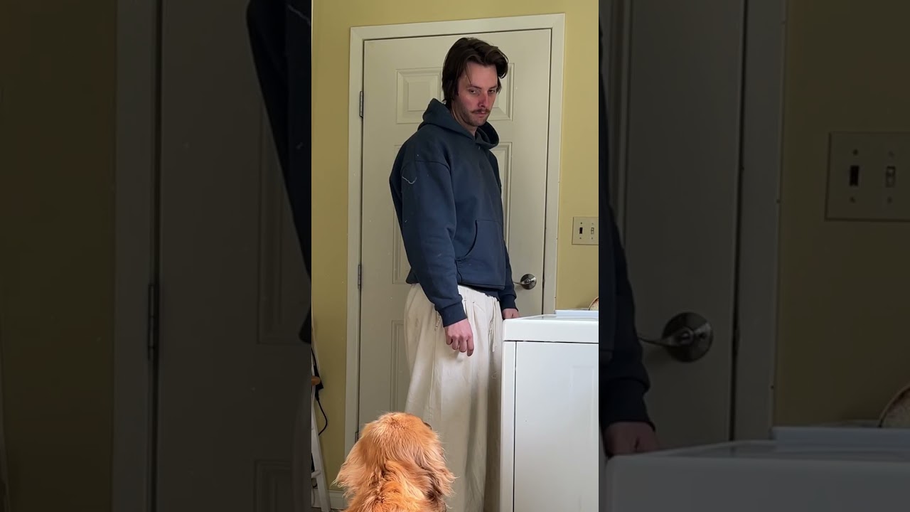 Non-slip grip = no sliding dogs, no slipping kids 🚫🐕‍🦺👶 