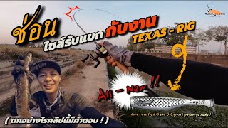 Texas-Rig ช่อนใหญ่กับเหยื่อใหม่ All-New Overfly ! | Street Fishing EP.51