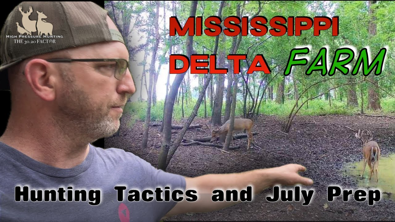 Mississippi Delta Farm Hunting Tactics and July Prep